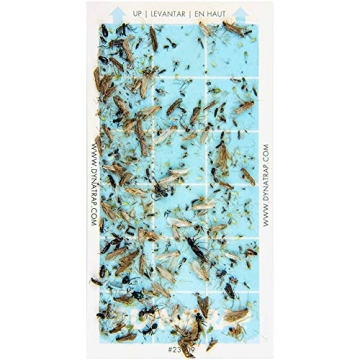 DynaTrap DT3009-1003P Indoor Insect Trap Solution