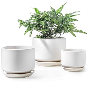 Elegant LE TAUCI Ceramic Plant Pots Set for Indoor Plants