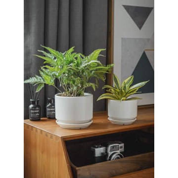 Elegant LE TAUCI Ceramic Plant Pots Set for Indoor Plants