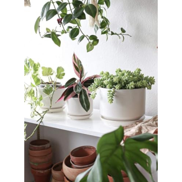 Elegant LE TAUCI Ceramic Plant Pots Set for Indoor Plants