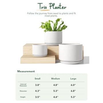Elegant LE TAUCI Ceramic Plant Pots Set for Indoor Plants