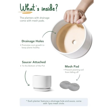 Elegant LE TAUCI Ceramic Plant Pots Set for Indoor Plants