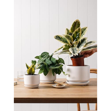 Elegant LE TAUCI Ceramic Plant Pots Set for Indoor Plants