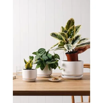 Elegant LE TAUCI Ceramic Plant Pots Set for Indoor Plants