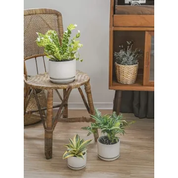 Elegant LE TAUCI Ceramic Plant Pots Set for Indoor Plants
