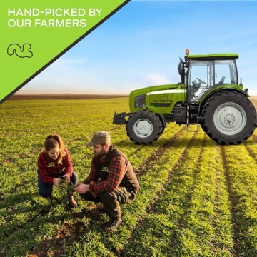 NUT CRAVINGS - Raw Brazil Nuts, Unsalted, No Shell, Whole, (16oz - 1 LB) Bulk Nuts Packed Fresh in Resealable Bag - Kosher Healthy Snack, Natural Keto Vegan