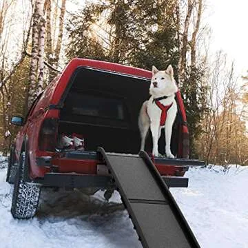 Dog Ramp - Folding, Nonslip Pet Ramp for Dogs to Get into Cars, Trucks, SUVs, or RVs - Portable Pet Ramps with Raised Side by PETMAKER, 61"L x 15.5"W x 5.5"H,(Black)