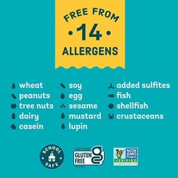 Enjoy Life Dark Chocolate Morsels, Vegan and Allergen-Free