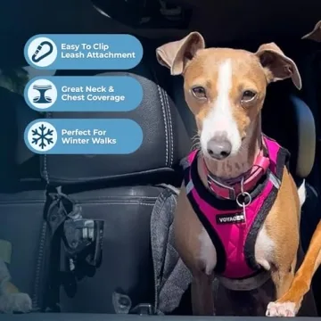 Voyager Plush Step-In Dog Harness for Small Dogs