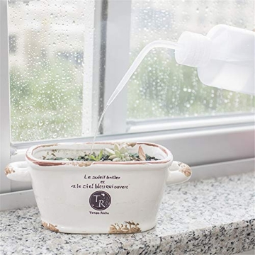 Danmu Watering Bottle for Effortless Plant Hydration