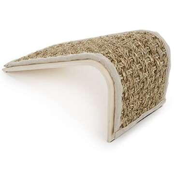Petlinks Sea Ramp Cat Scratcher with Catnip - Durable Fun for Cats