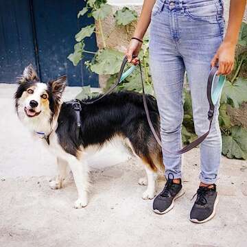 VIVAGLORY Traffic Handle Dog Leash, Two Padded Soft Handles Dog Leash, Strong Reflective & Metal Hook Training Dog Lead, Grey