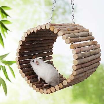 Bird Parrot Swing Toys, Hanging Bird Tree Caves, Natural Apple Wood Parrot Hammock, Bird Cage Accessories, Suitable for Little Bird Parakeets Cockatiels Lovebirds Hamster Rat (6.49" in Diameter)