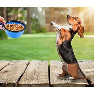 MXZONE 3 Collapsible Silicone Dog Bowl, Foldable Expandable Cup Dish for Small Pet Cat Food Water Feeding Portable Travel Bowl, Pet ID-Tag