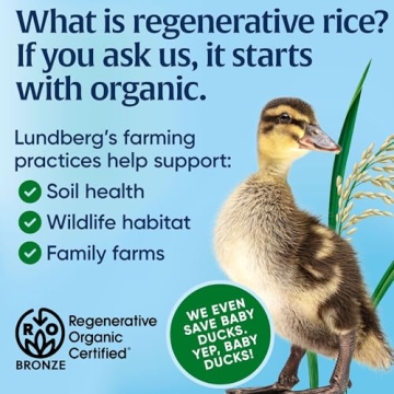 Lundberg Organic Thin Stackers Gluten-Free Brown Rice Cakes