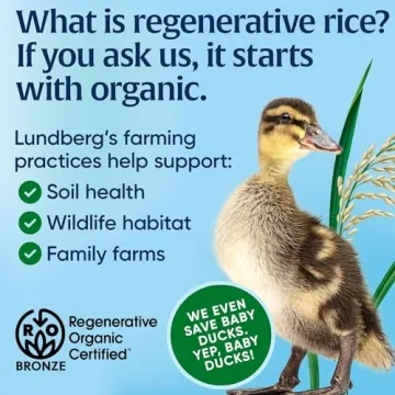 Lundberg Organic Thin Stackers Gluten-Free Brown Rice Cakes