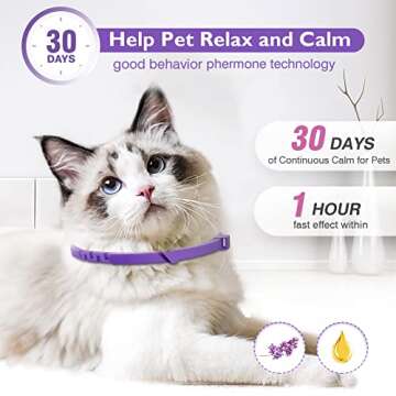 Calming Collars for Cats - Reduce Anxiety & Stress Naturally