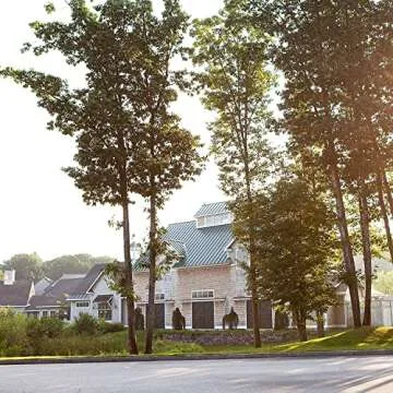 Village Candle Warm Buttered Bread Large Glass Apothecary Jar Scented Candle, 21.25 oz, Brown