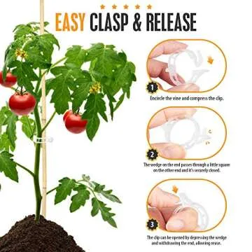 Fandamei 200 PCS Plant Support Clips, Tomato Clips, Garden Trellis Clips for Vine, Beans, Vegetables, Fruits, Rose. Tomato Twine Clips, 1 Inch/25mm in Inside Diameter, White Transparent