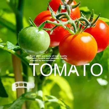 Fandamei 200 PCS Plant Support Clips, Tomato Clips, Garden Trellis Clips for Vine, Beans, Vegetables, Fruits, Rose. Tomato Twine Clips, 1 Inch/25mm in Inside Diameter, White Transparent
