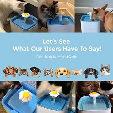 Ciays Cat Water Fountain - Automatic Pet Water Dispenser