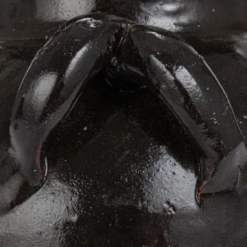 Creative Co-Op Decorative Clay Jar for Unique Decor