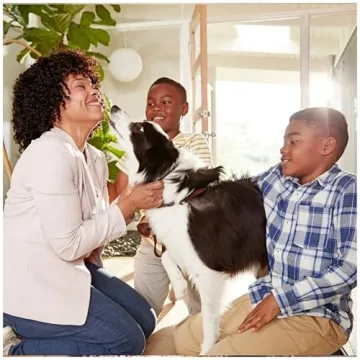 Filtrete 16x25x1 MERV 11 Air Filter, Micro Allergen Defense