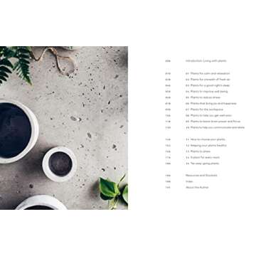 The Healing Power of Plants: The Hero Houseplants That Will Love You Back