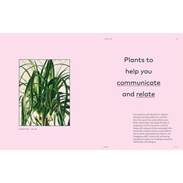 The Healing Power of Plants: The Hero Houseplants That Will Love You Back