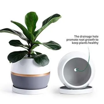 Stylish POTEY Ceramic Planter with Drain Hole