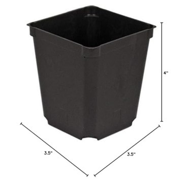 Quality McConkey 3.5" Nursery Pots for All Plant Lovers
