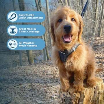 Best Pet Harness for Small Medium Dogs All-Weather Safety