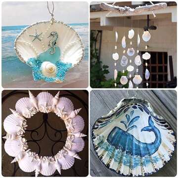 Large Natural Scallop Shells for Crafting & Decor
