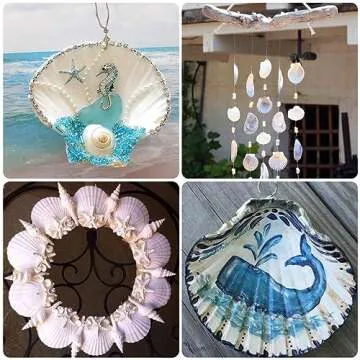 Large Natural Scallop Shells for Crafting & Decor