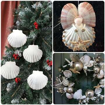 Large Natural Scallop Shells for Crafting & Decor