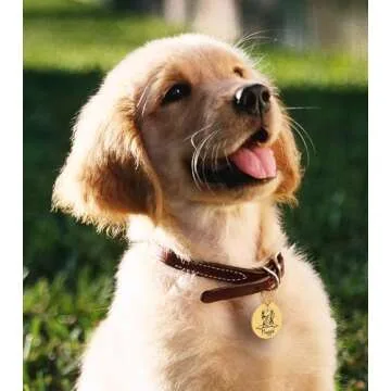 PawFurEver Dog Tags Personalized with Breed Design - Custom Dog Tags for Pets - Dog ID Tags Personal...