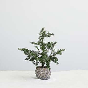 Creative Co-Op Faux Hinoki Cypress Tree in Pinecone Shaped Cement Pot, Distressed Finish