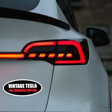 Funny Anti Elon Car Magnets - Vintage Design 2-Pack