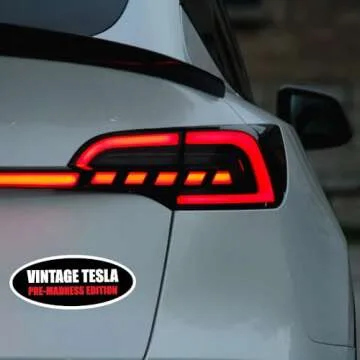 Funny Anti Elon Car Magnets - Vintage Design 2-Pack