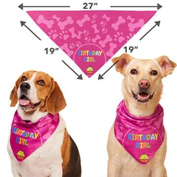 Odi Style Dog Bandana Girl for Dog Birthday - Dog Birthday Bandana for Small, Medium, Large Dogs, Bandana for Dogs Puppy Birthday Party, Happy Birthday Girl Dog Bandana, Pink