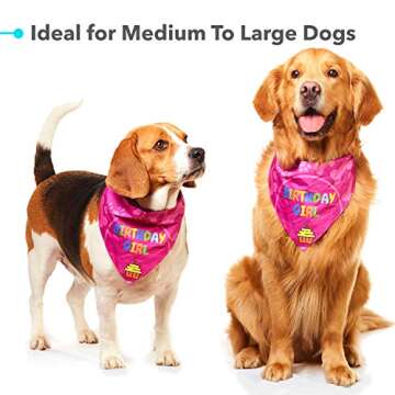 Odi Style Dog Bandana Girl for Dog Birthday - Dog Birthday Bandana for Small, Medium, Large Dogs, Bandana for Dogs Puppy Birthday Party, Happy Birthday Girl Dog Bandana, Pink