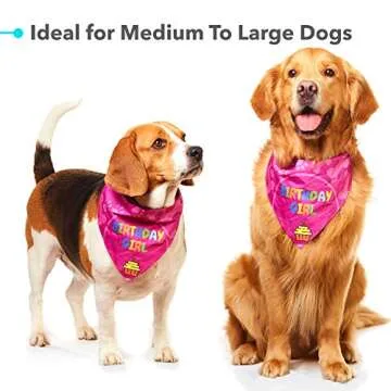 Odi Style Dog Bandana Girl for Dog Birthday - Dog Birthday Bandana for Small, Medium, Large Dogs, Bandana for Dogs Puppy Birthday Party, Happy Birthday Girl Dog Bandana, Pink