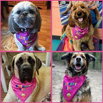Odi Style Dog Bandana Girl for Dog Birthday - Dog Birthday Bandana for Small, Medium, Large Dogs, Bandana for Dogs Puppy Birthday Party, Happy Birthday Girl Dog Bandana, Pink