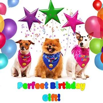 Odi Style Dog Bandana Girl for Dog Birthday - Dog Birthday Bandana for Small, Medium, Large Dogs, Bandana for Dogs Puppy Birthday Party, Happy Birthday Girl Dog Bandana, Pink