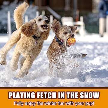 Mankoda Durable Dog Balls for All Aggressive Chewers