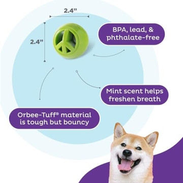 Durable Interactive Treat Dispensing Dog Toy | Outward Hound Nooks