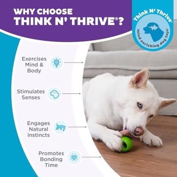 Durable Interactive Treat Dispensing Dog Toy | Outward Hound Nooks