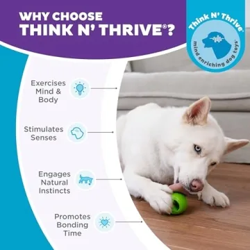 Durable Interactive Treat Dispensing Dog Toy | Outward Hound Nooks