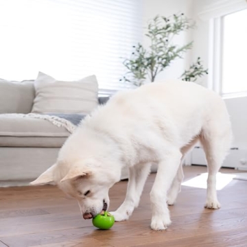 Durable Interactive Treat Dispensing Dog Toy | Outward Hound Nooks
