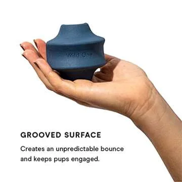 Wild One Twist Toss Dog Toy 100% Natural Rubber, Fun to Chew, Durable for Average Chewers, Fetch Toy, Treat Dispensing Blue